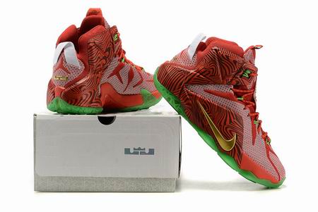 Nike Lebron XII Elite shoes red green