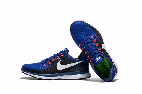Nike Zoom Pegasus 34 shoes blue